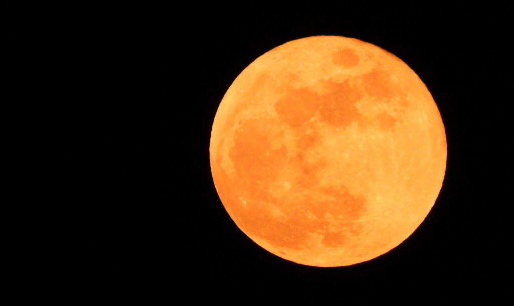 bloedmaan ede anoushka roso mast