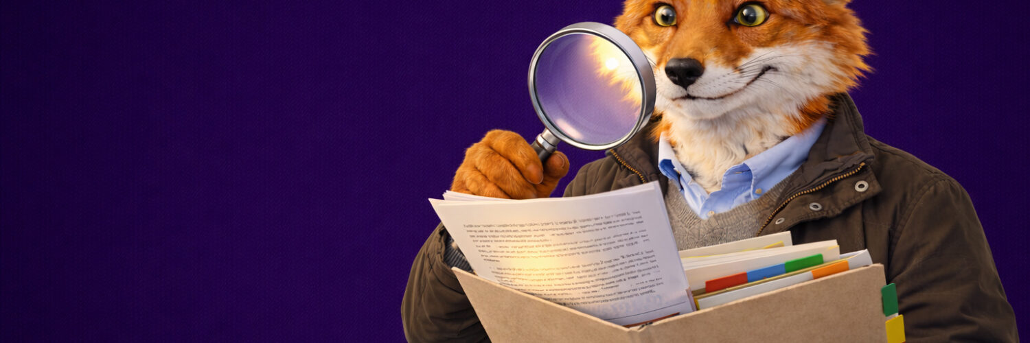 verkiezingen bestuurlijke transparantie