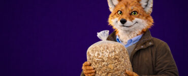 verkiezingen warmtebedrijf ede