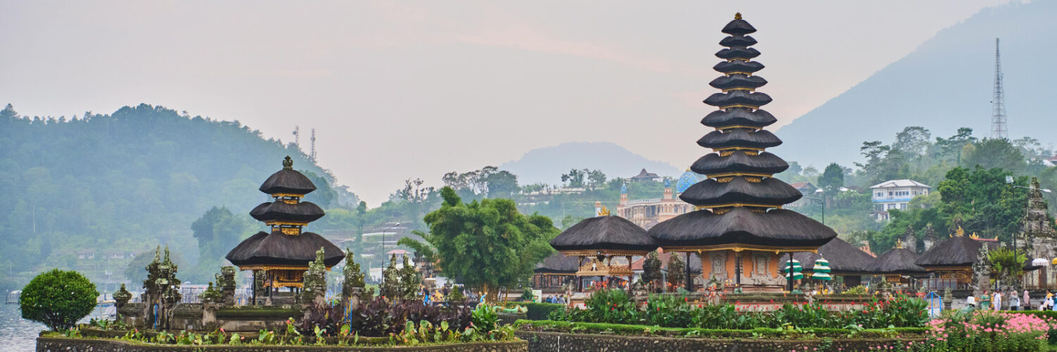 pexels triew0814 29377718