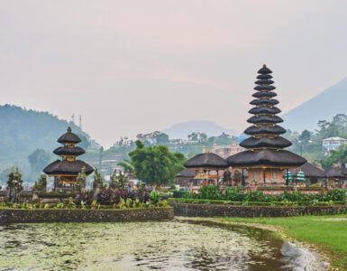 pexels triew0814 29377718