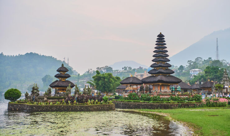 pexels triew0814 29377718