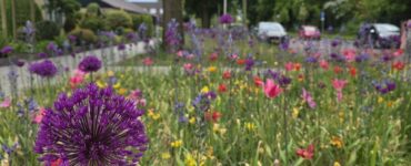 commandeursweg plantsoen