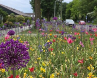 commandeursweg plantsoen
