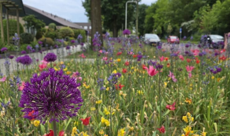 commandeursweg plantsoen