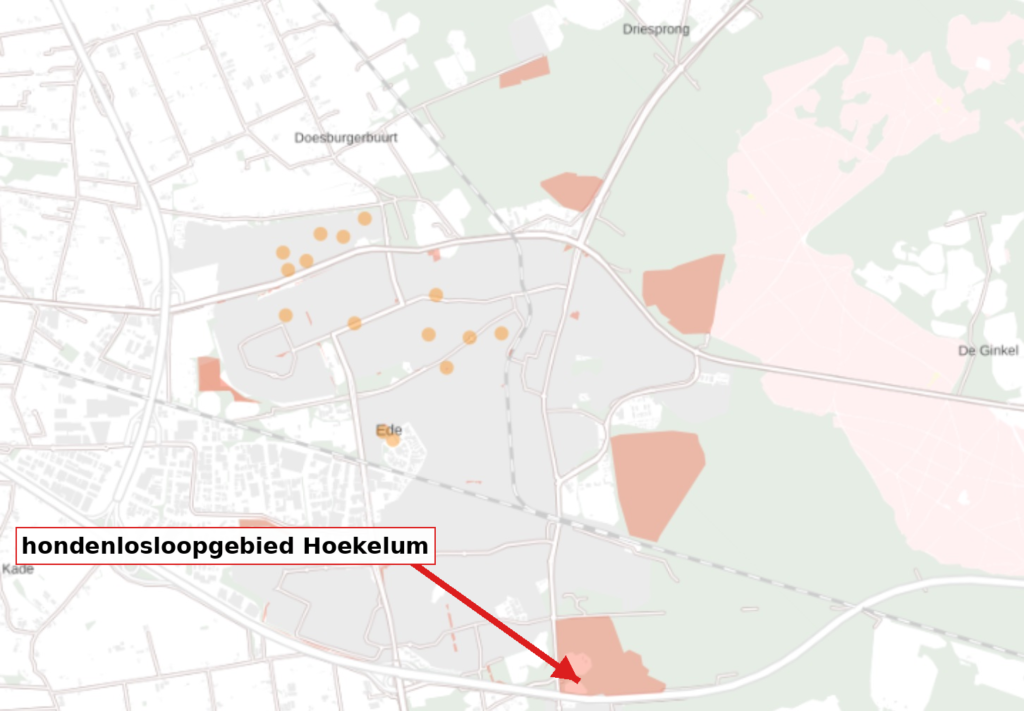 hondenlosloopgebied hoekelum