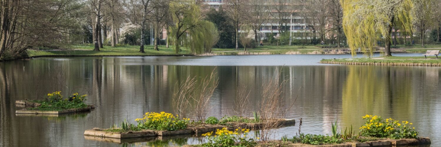 proosdijpark klein geltink