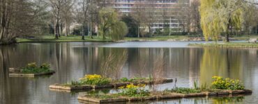 proosdijpark klein geltink