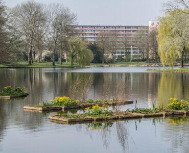 proosdijpark klein geltink