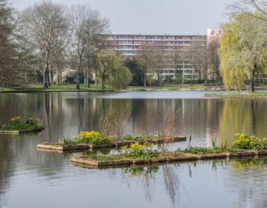 proosdijpark klein geltink