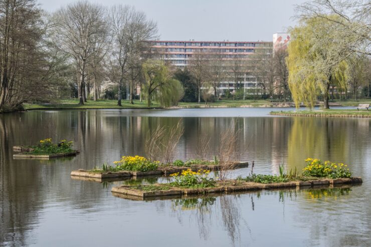 proosdijpark klein geltink