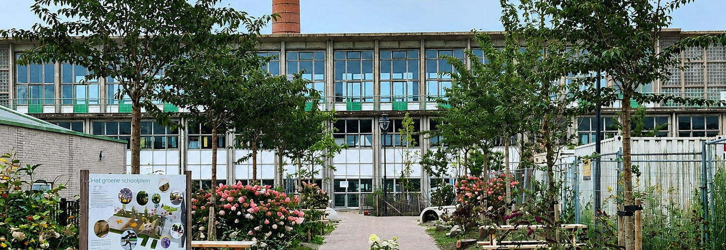 het groene schoolplein