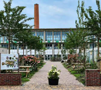 Hoe kinderen op Enka moeten wijken voor de auto 11 het groene schoolplein
