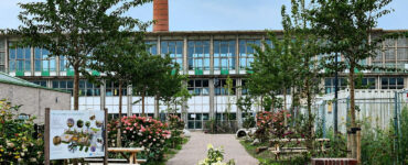 het groene schoolplein