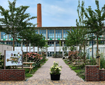 het groene schoolplein