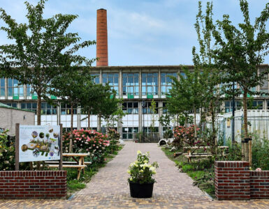 Hoe kinderen op Enka moeten wijken voor de auto 3 het groene schoolplein