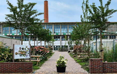 het groene schoolplein