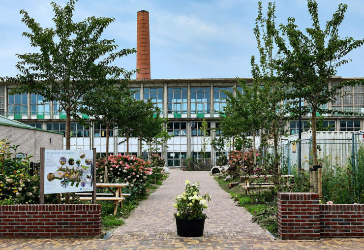 het groene schoolplein