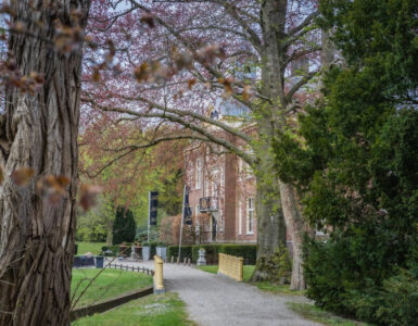 Waarom stopt Kasteel Hoekelum met bruiloften? 10 kasteel hoekelum