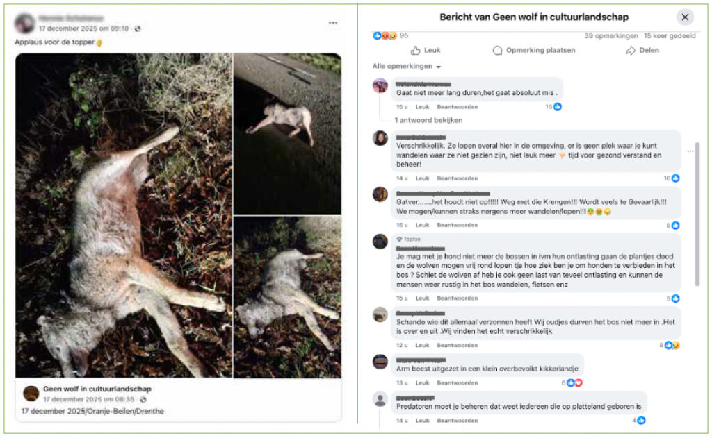 Schiet, schep en zwijg: De wolvenstroperij rond Ede 6 wolf cultuurlandschap