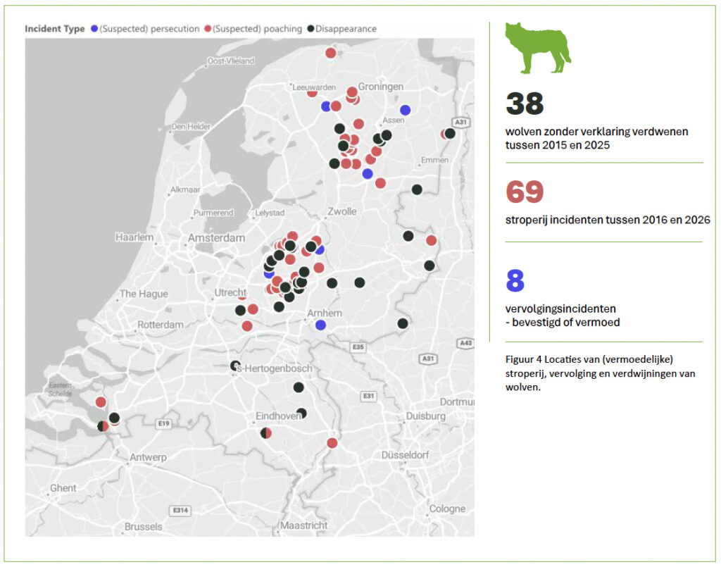 Schiet, schep en zwijg: De wolvenstroperij rond Ede 4 wolf verdwijningen
