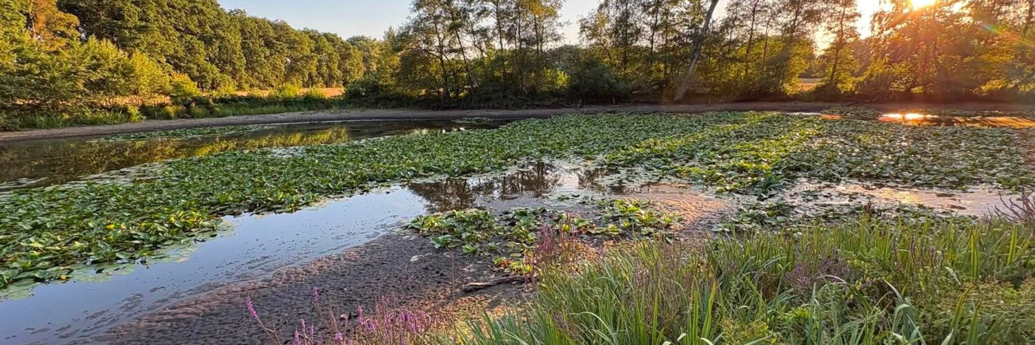 Louiz Prinsen Heidebloemplas