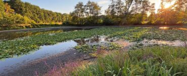 Louiz Prinsen Heidebloemplas
