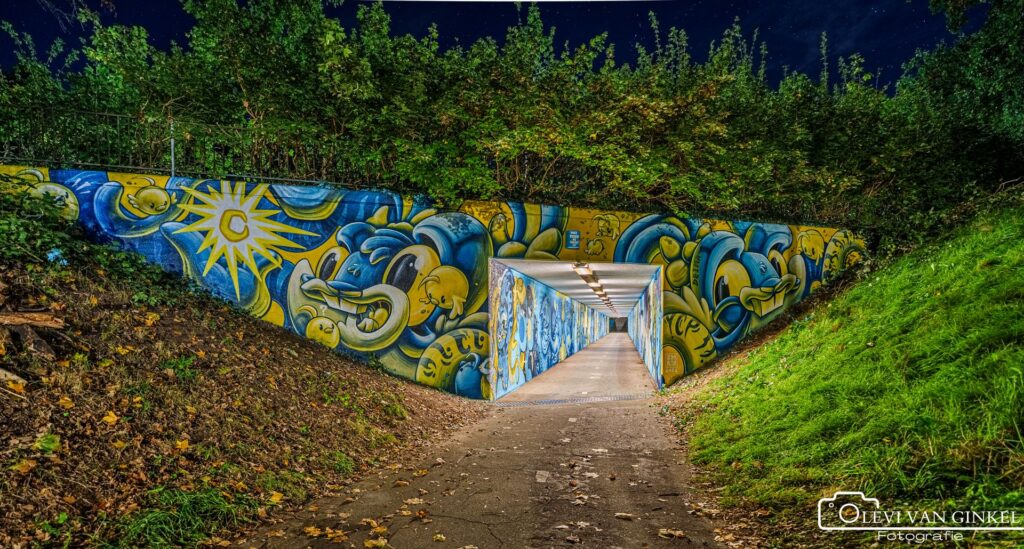 bospoorttunnel